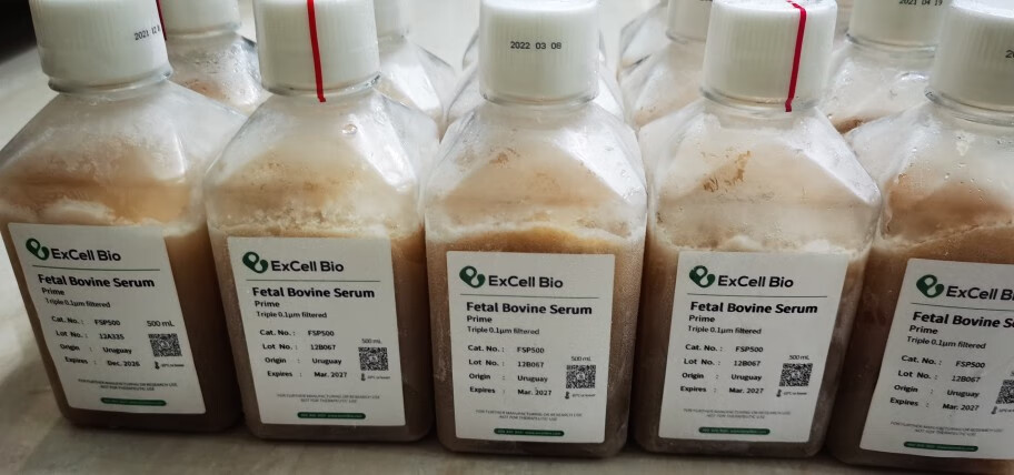 excell优级特级胎牛血清fsd500fsp500fnd500 fsp500