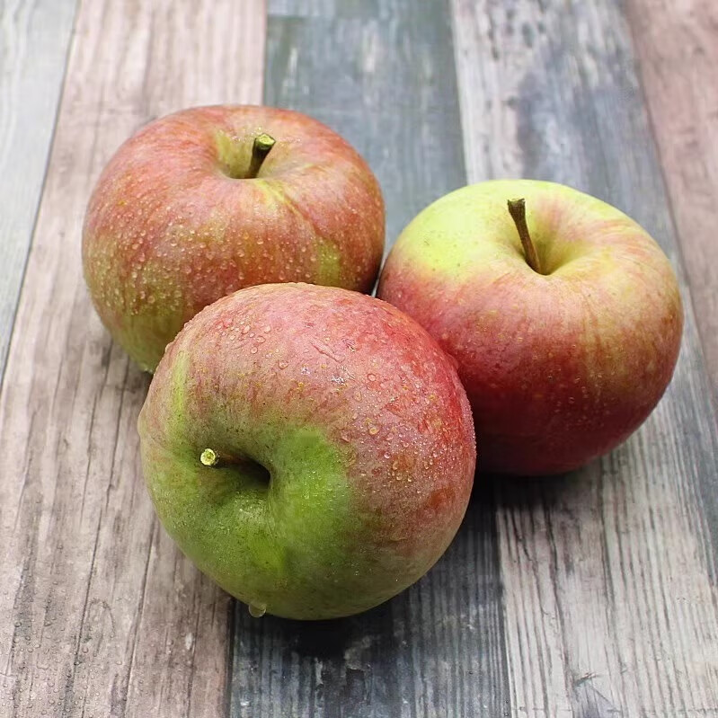 皓谦新鲜国光苹果当季水果整箱东北小国光苹果笨果 3斤 优选大果