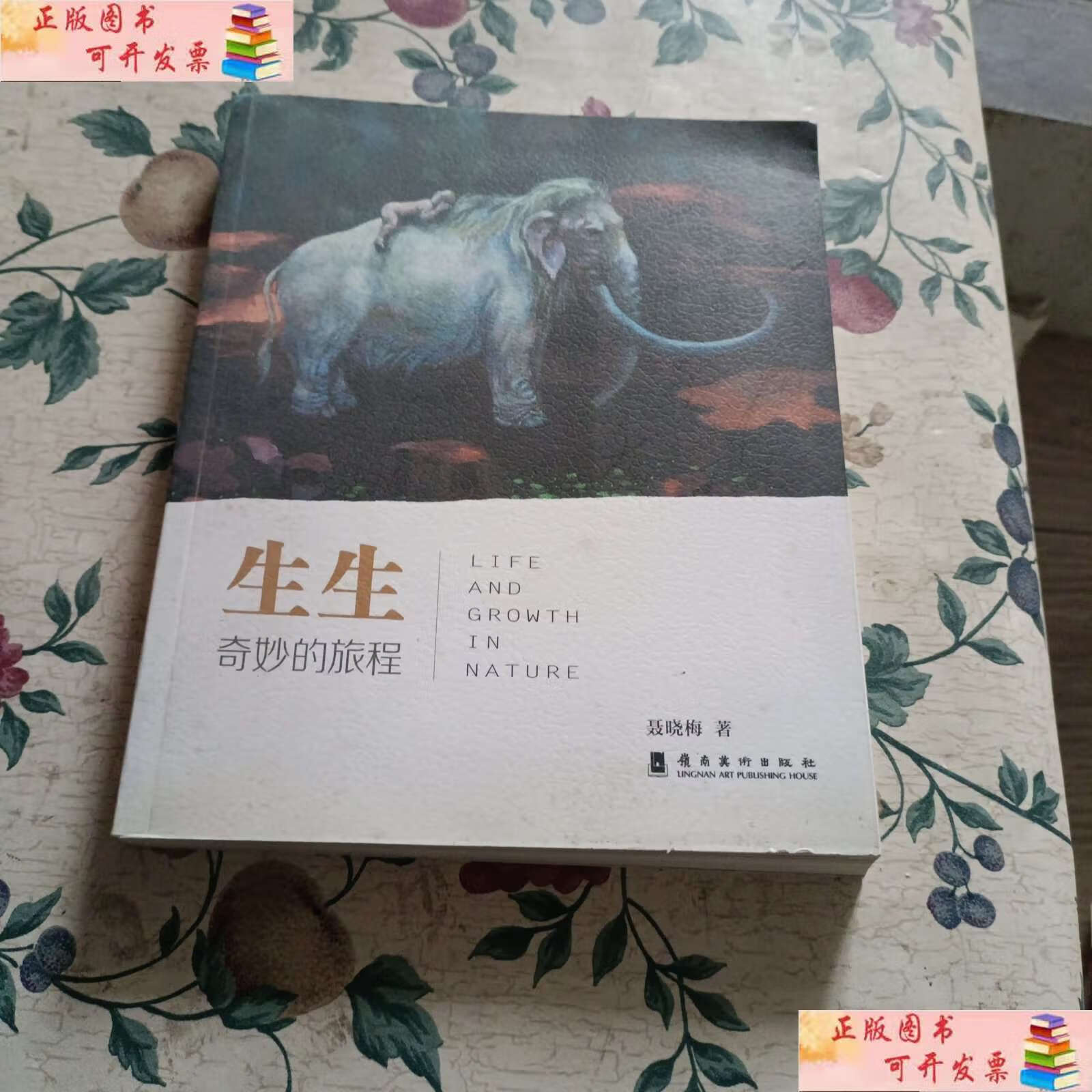 【二手9成新】生生:奇妙的旅程 /聂晓梅 岭南美术