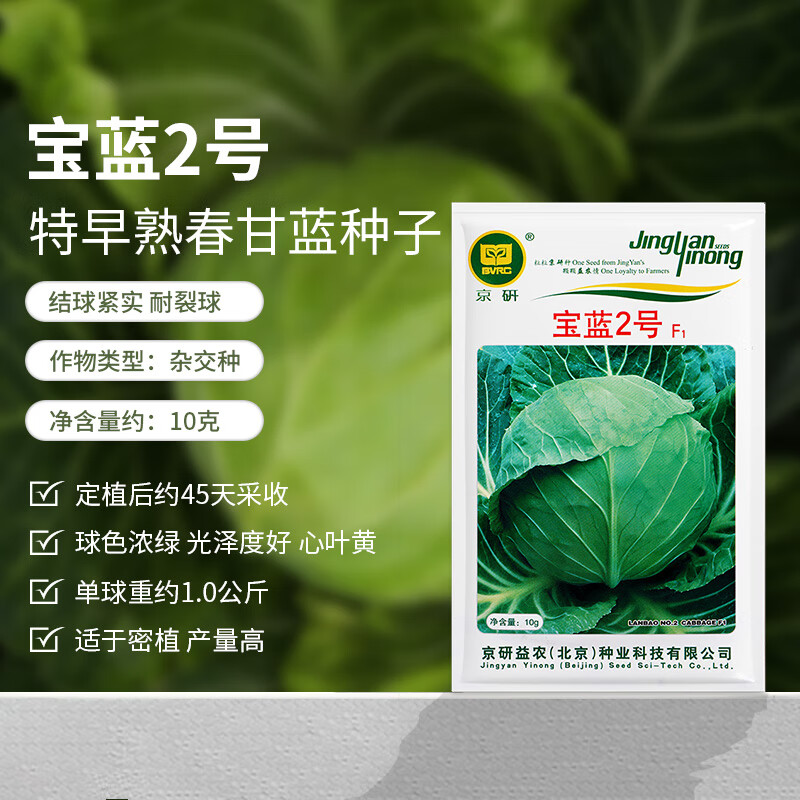 京農(nóng)研甘藍(lán)種子卷心菜圓白菜包菜牛心甘藍(lán)早熟高產(chǎn)農(nóng)科院易種蔬菜種籽孑 寶藍(lán)2號(hào)10克 特早熟春甘藍(lán)球色綠