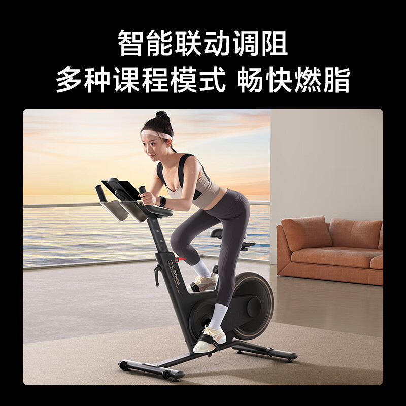 京东京造 【新品】动感单车健身房级家用自发电磁控器材室内自行车DC-001