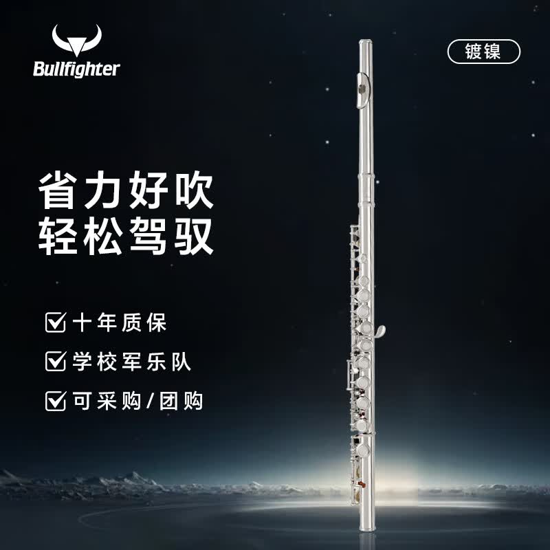 斗牛士长笛乐器C调16孔附E键镀镍初学演奏考级通用 16孔C调白铜镀银