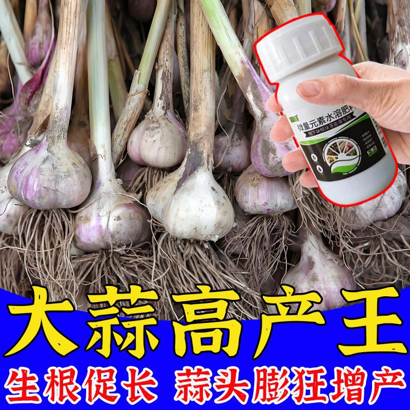 嵩晴大蒜专用膨大剂膨大素紫蒜增产专用大蒜膨大叶面肥大蒜增产专用