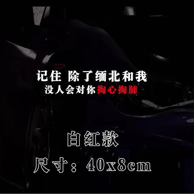车之硕(che zhi shuo)除了缅北和我没人在对你掏心掏肺抖音网红车贴