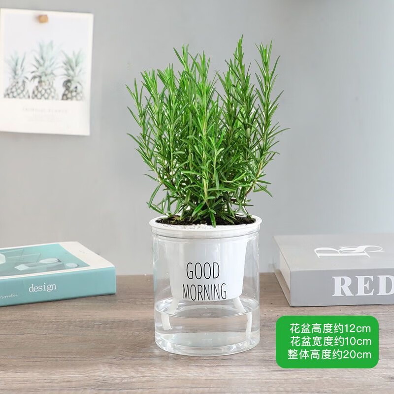 ��˿�б������Կ�ʳ���Ե���ֲ�ﻨ���ļ����ó��ļ�����칫����ˮ�໨ �Ե���ԭ��+�簲��