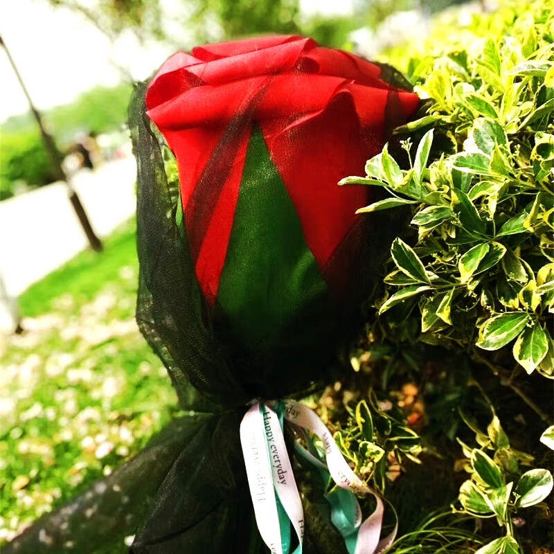 超大玫瑰花一支 抖音网红520巨型超大红玫瑰花朵一单支巨大女友母 1支