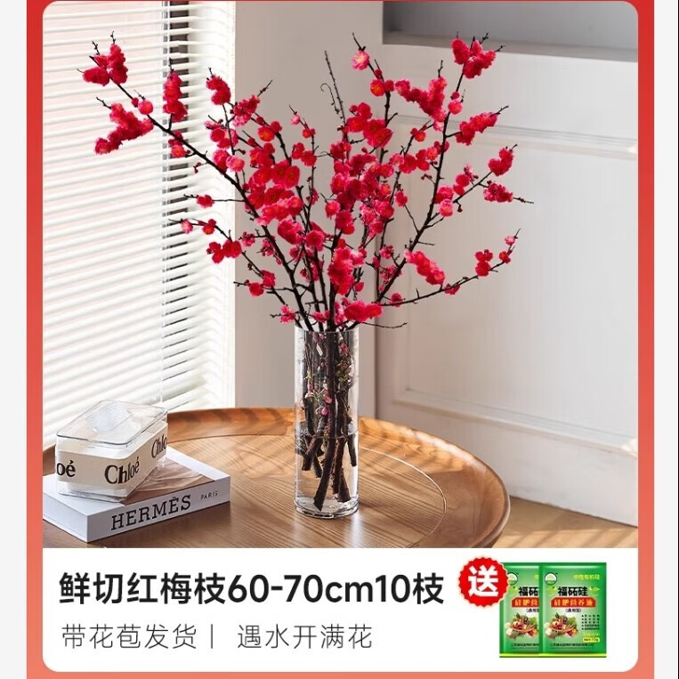 ���ڲ�����������ˮ�໨����������֦�������ʻ�ֲ���������к���Ũ���ͺ�÷����֦ ���к�÷֦60-70cm10֦+Ӫ��Һ