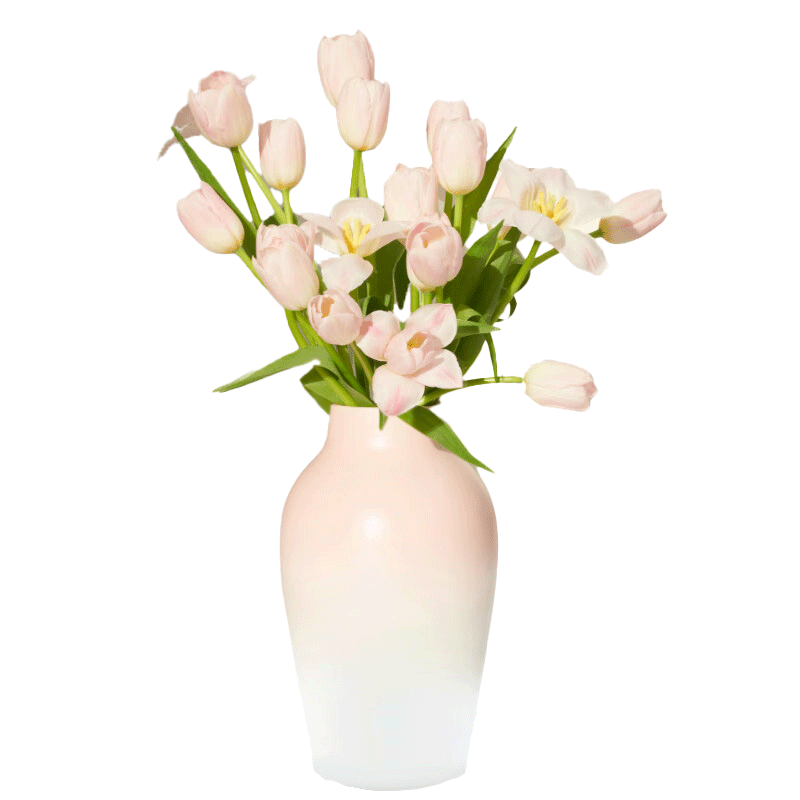 京东鲜花跨晚同款-郁金香鲜花10枝盲盒款（品种随机）源头直发