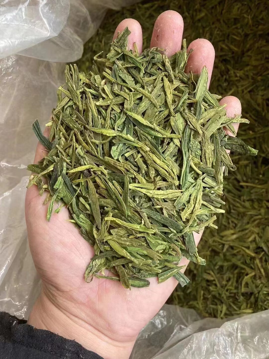 聚品天香云雾绿茶春茶袋装龙井明前碧螺春炒青绿茶叶散装电商货源 3号豆香龙井