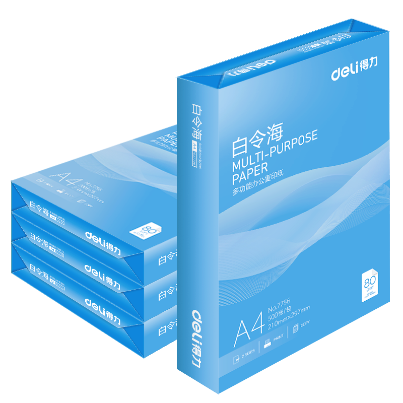 得力（deli）白令海A4打印纸 80g500张*4包一箱 双面加厚 高性价比复印纸 整箱2000张【经济热销】