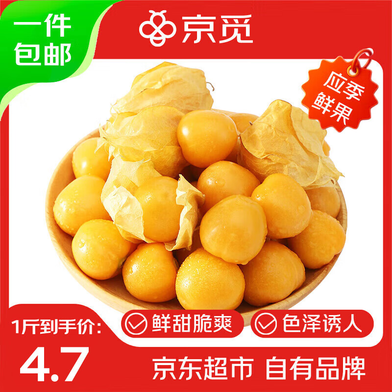 京觅 东北姑娘果1斤带箱 灯笼果黄菇娘洋姑娘果 新鲜水果 源头直发