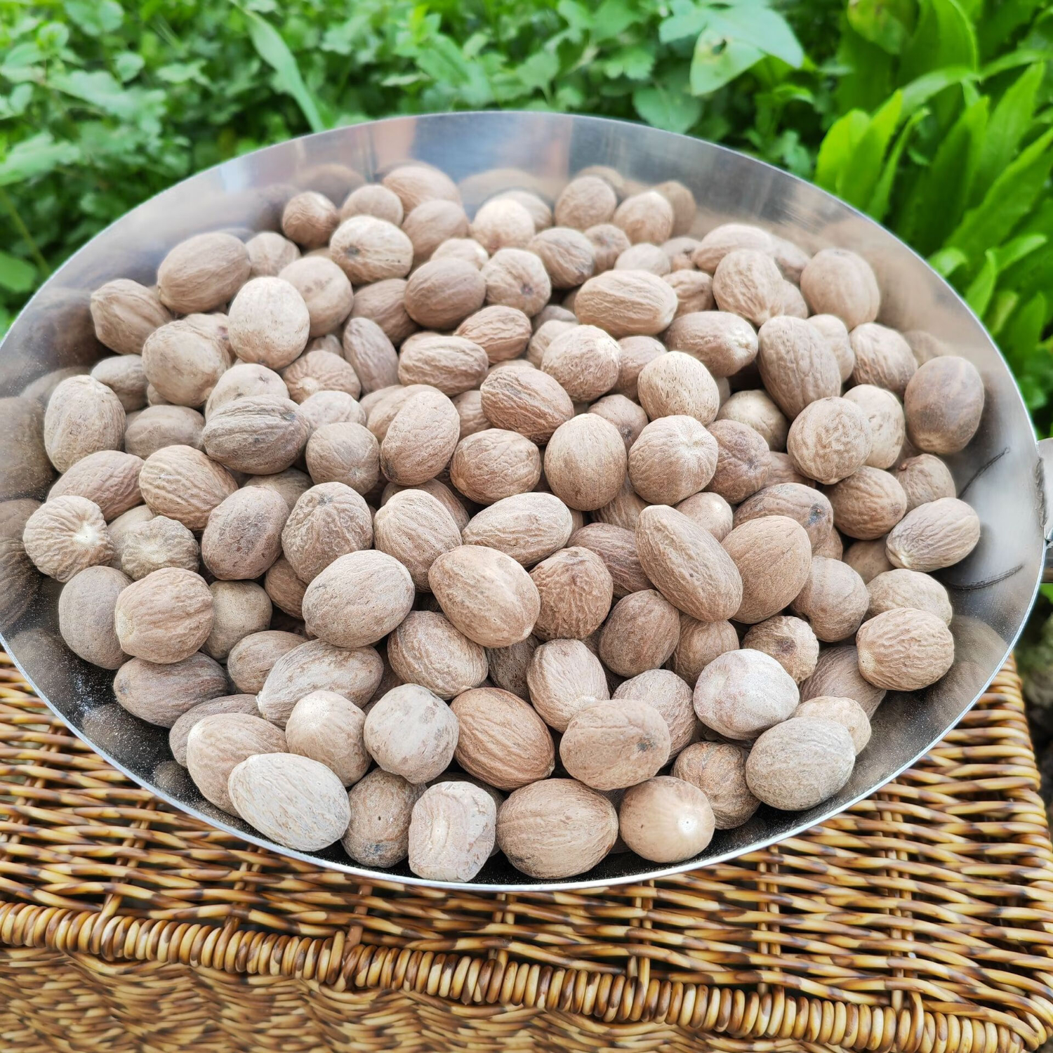 【官方店旗舰】北京同仁堂肉蔻中药材肉豆蔻肉寇肉扣粉玉果肉叩肉果香