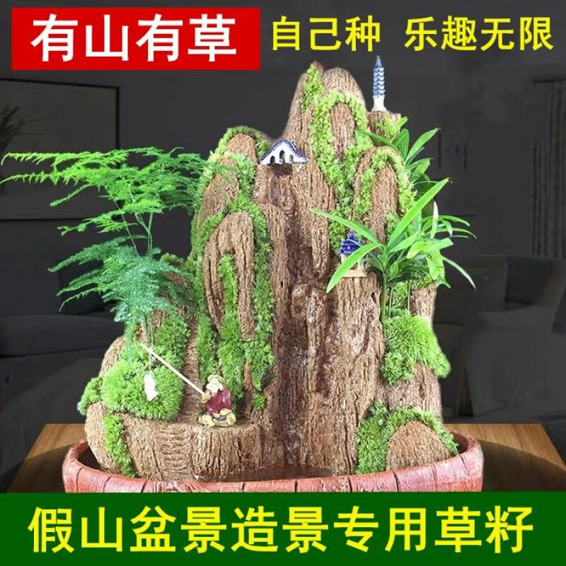 瑰季四季假山草种子 造盆景珍珠草种子 草籽上水石植物易活 适合大型假山4包草籽