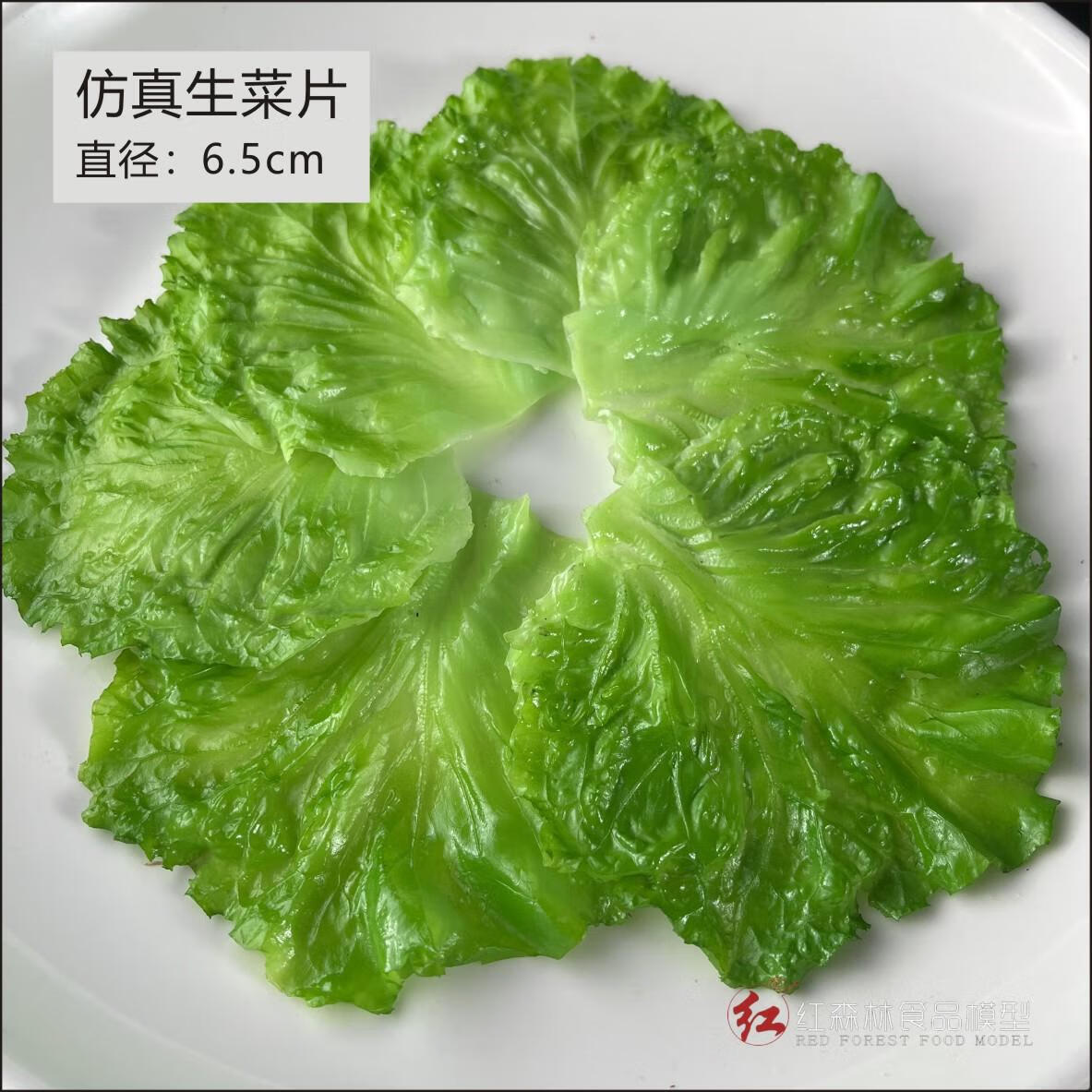 zkhe 生菜片食品模型厨房样品菜酒店装饰餐厅摆件 生菜一片