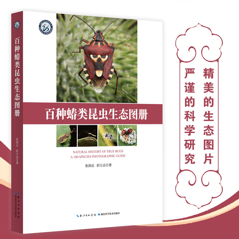 正版 百种蝽类昆虫生态图册 张润志 彩万志 湖北科学技术出版社