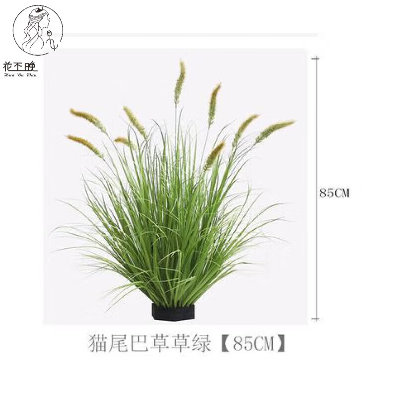 粉色芦苇狗尾草装饰橱窗落地景观北欧绿植插花艺 9头猫尾巴草绿色85cm