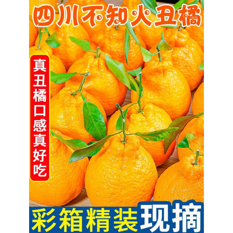 【精选】四川不知火丑橘新鲜水果当季整箱2/3/5/8/9斤丑八怪丑粑 8斤75-80mm