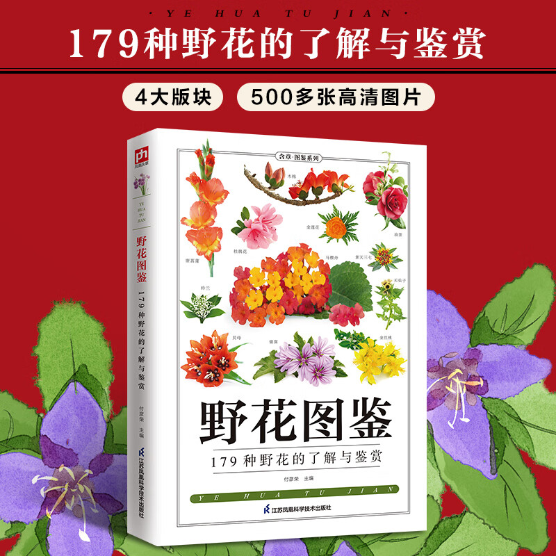 野花图鉴野花的基本知识从生活形态植物形态别名图片介绍野花的外形及