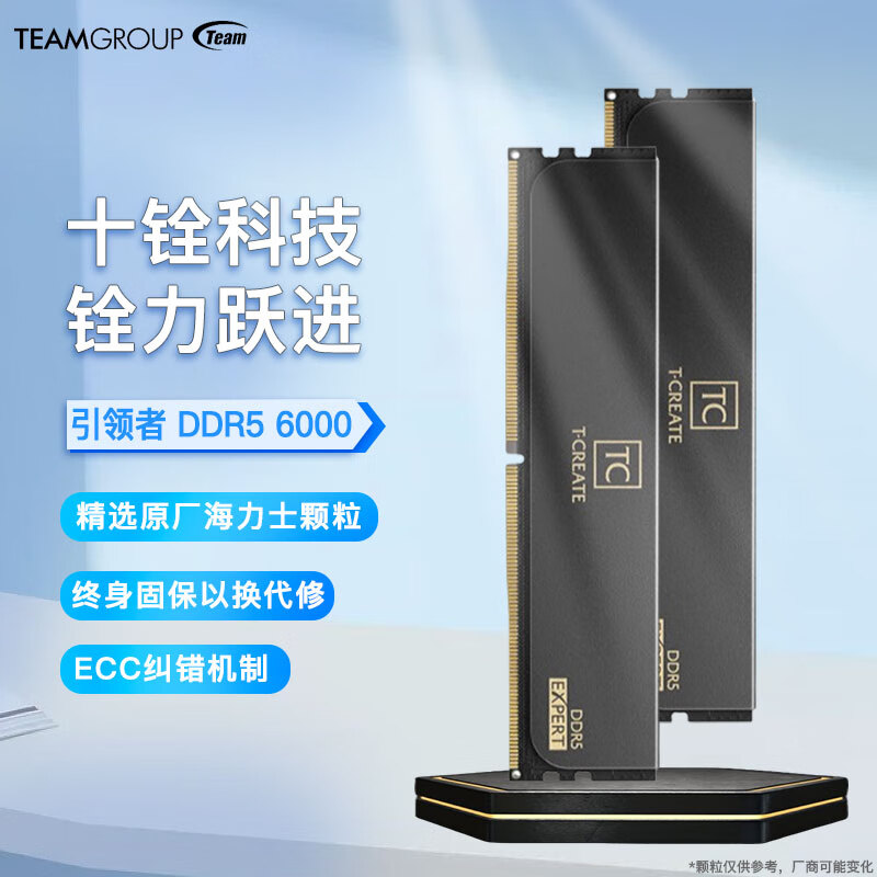 十铨科技（Team）内存DDR5海力士颗粒台式机超频马甲内存条 EXPERT引领者DDR5 6000暗夜黑 32GB 2条套条 (16G×2)M-die