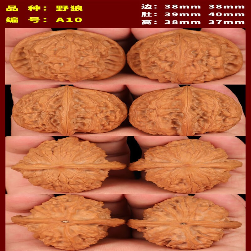 今传福文玩核桃野生小众野狼核桃天然核桃文玩男女士手把件古玩核桃盘