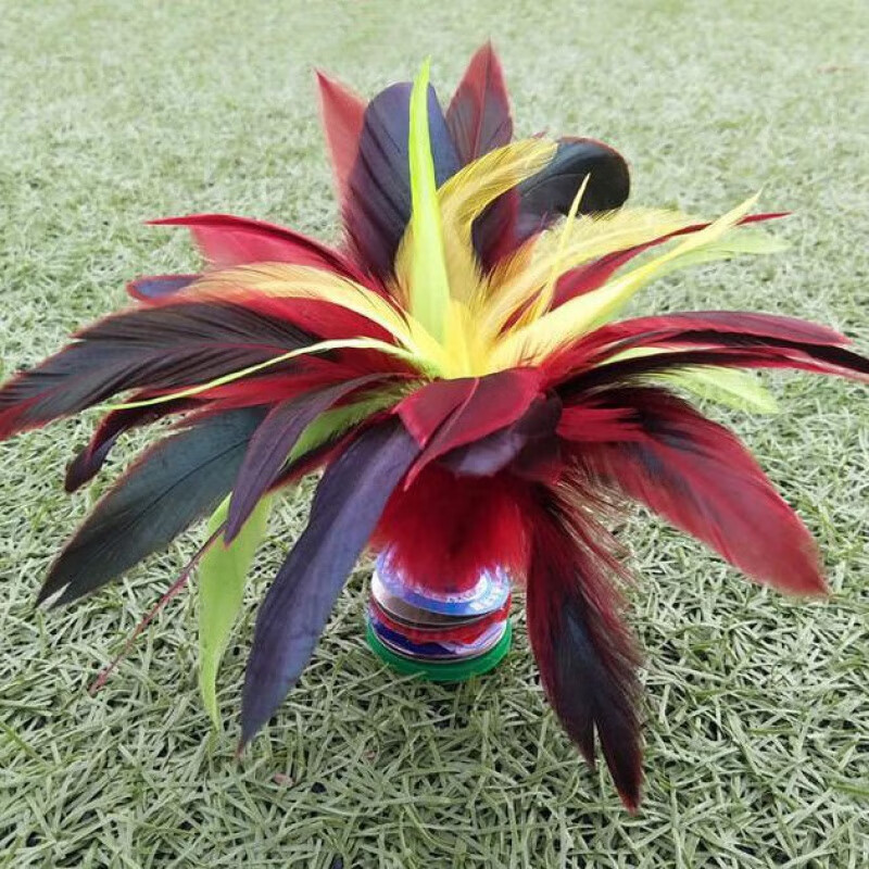 润华年【比赛专用】大号毽子成人儿童毛花毽踢鹅毛毽球健身运动 2个a