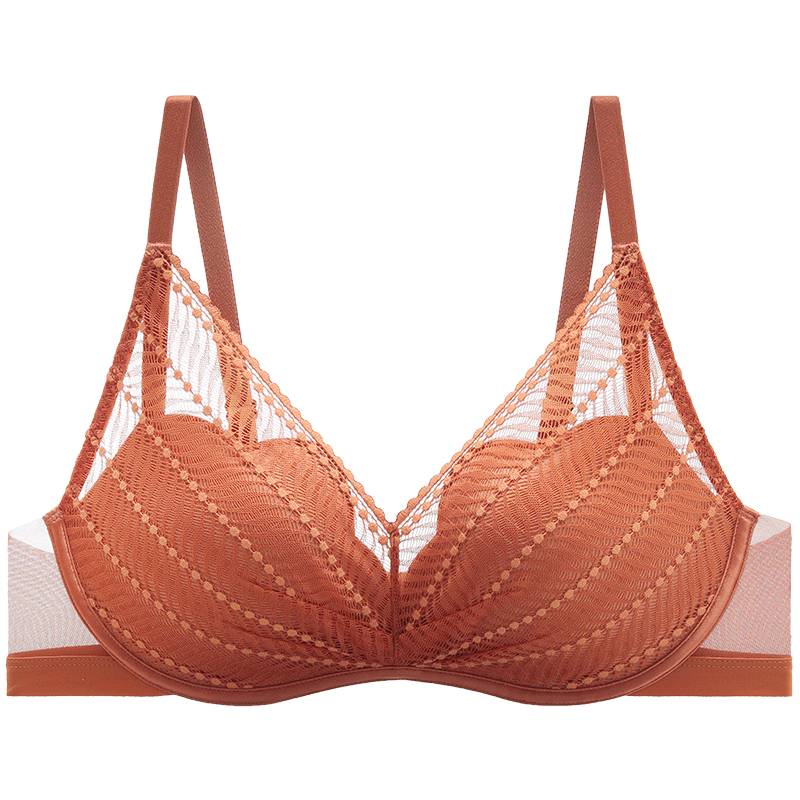 安莉芳【玫瑰舒挺杯】葉形蕾絲文胸女無鋼圈小胸聚攏內(nèi)衣EB00724 鐵銹色RUS 75B