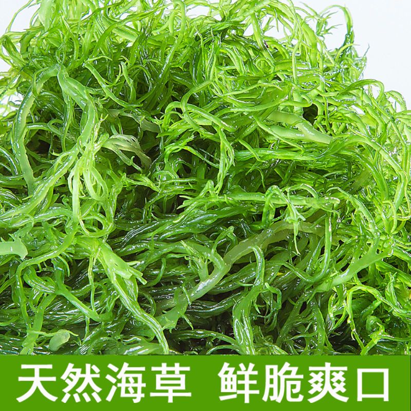 飞益森霞浦龙须菜天然海藻海草火锅凉拌菜食材石花菜鹿角海发菜福建