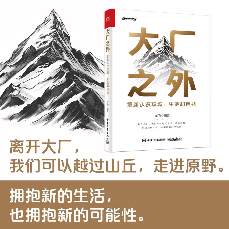 大厂之外：重新认识职场、生活和自我详情图