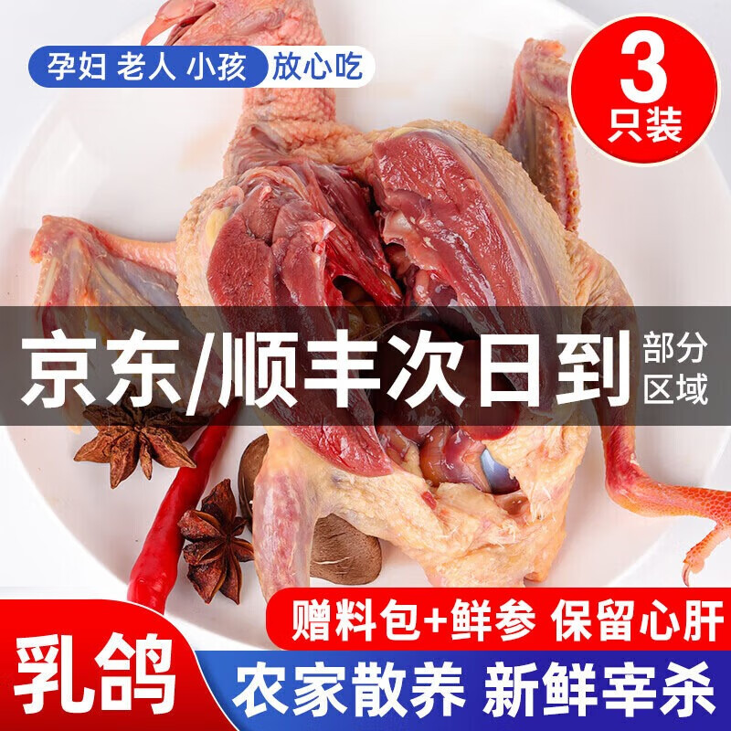 颐乡情农家新鲜宰杀鸽子肉鸽子 生鲜3只仅64.9元
