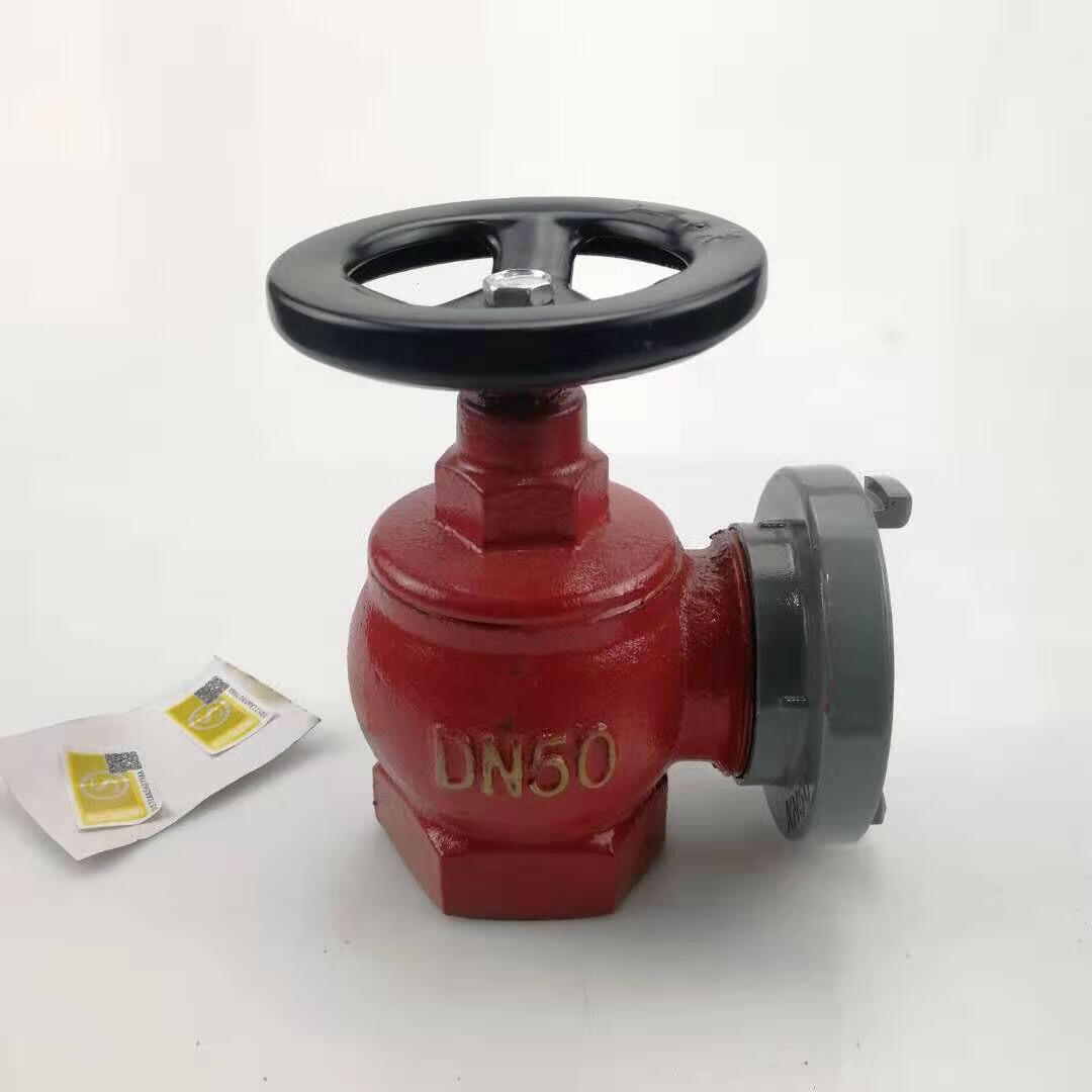 国标室内消火栓2寸2.