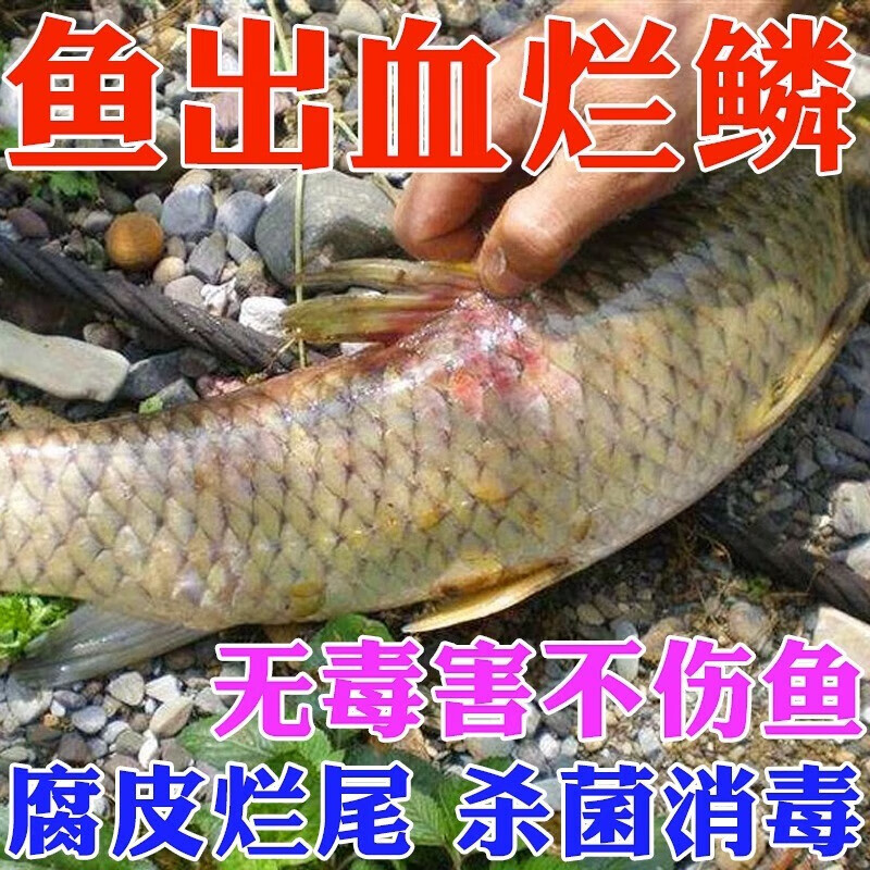 yee锦鲤亚甲基蓝烂尾烂身烂鳍白点水霉病观赏金鱼缸消毒杀菌药液 1