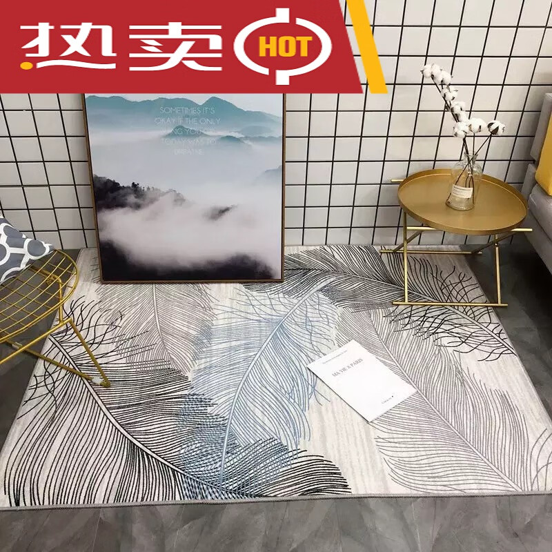 北欧式简约卧室地毯床边毯 厨房浴室防滑垫地毯 白色羽毛 80cmx160cm