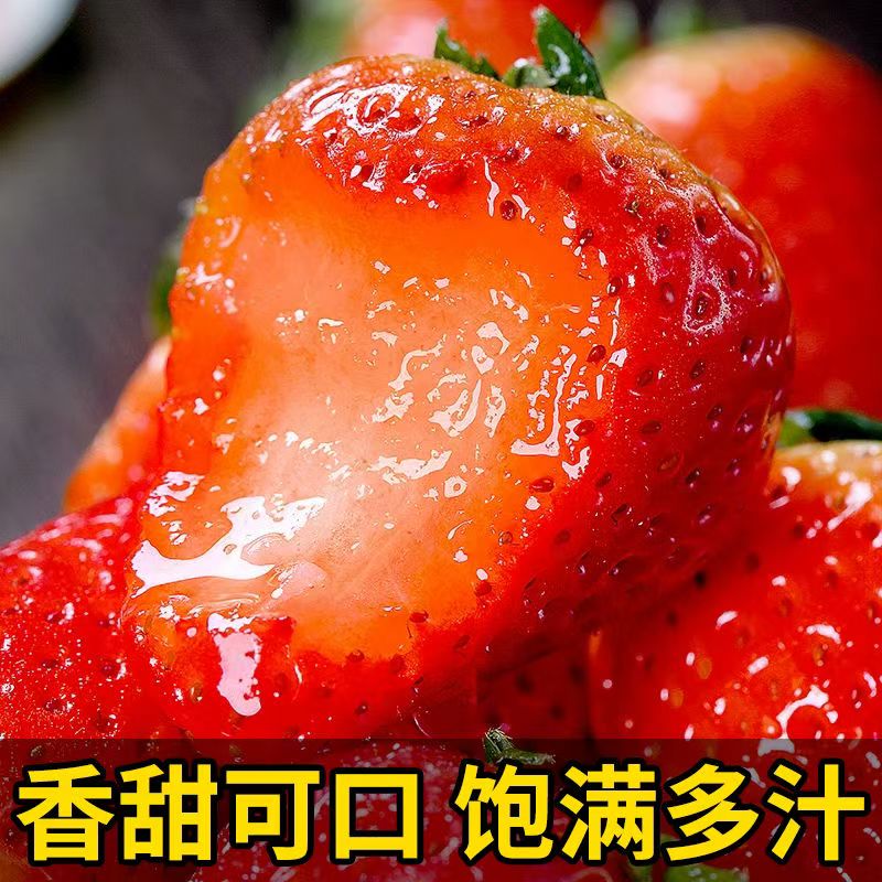 四川大凉山草莓 新鲜水果甜奶油草莓红颜99 生鲜鲜果礼盒送礼整箱 带箱3斤【净重2.5斤】中果