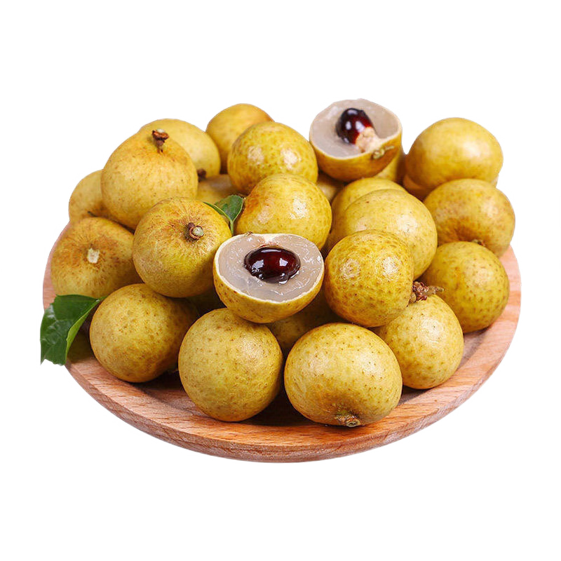 ����˹��GEWOSI��̩���������ʽ�����������ˮ����������Ӧ�����ʹ�Բ���ȥ֦ 3�ﾻ�أ����������䣩 20.8Ԫ