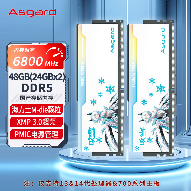 阿斯加特（Asgard）48GB(24GBx2)套装 DDR5 6800 台式机内存 RGB灯条-吹雪联名款