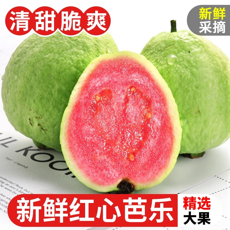 【精选】广西红心芭乐番石榴特产3斤5斤9斤新鲜水果巴乐果红肉潘 3斤