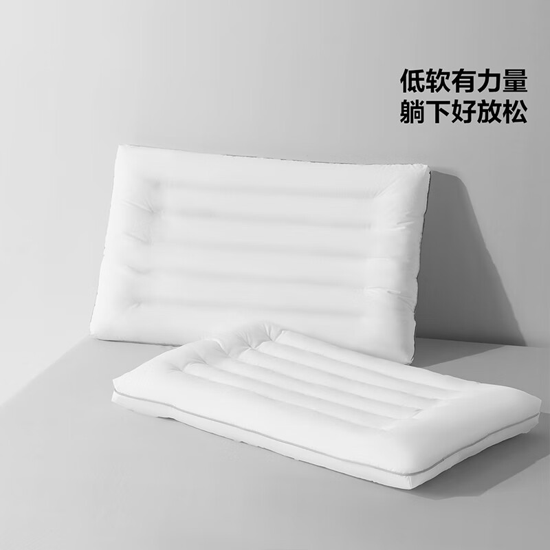 百丽丝水星集团出品 A类可水洗枕头颈椎枕 酒店纯棉抗菌枕芯单只装 全棉抗菌防螨可水洗枕 48cm×74cm