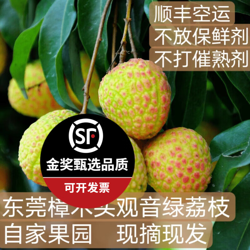 千朵云正宗【樟木头观音绿荔枝】新鲜清甜多汁原产地顺丰 3斤 观音绿