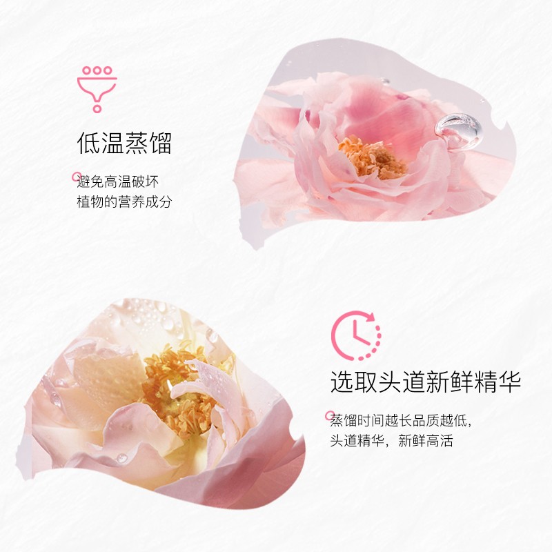 NCCU玫瑰精华露喷雾保湿补水150ml*2瓶 红色