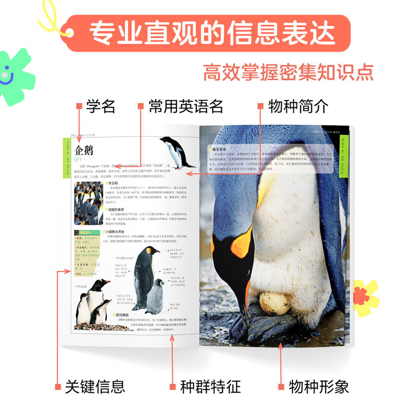 动物大百科 给孩子的课外阅读科普绘本  精装共3册详情图
