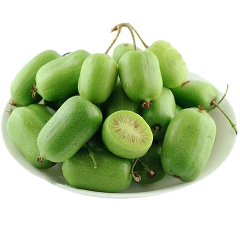 ��˳�᡿����⨺���Բ����ʱ��Ӧ����ˮ�����С���������⨺��� 3�����װ������15-25g��