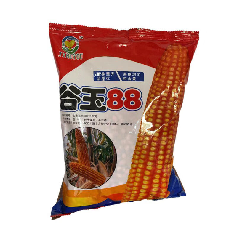 细辛谷玉88矮杆双胞胎玉米种子大全批发新双国审双棒高产大棒玉米 2斤
