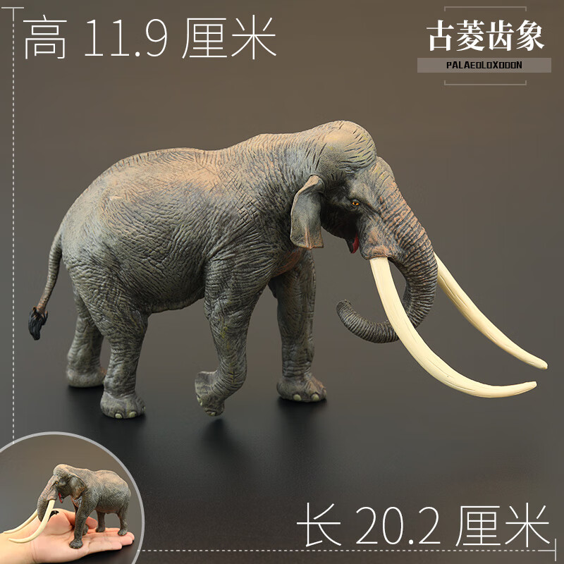仿真远古动物玩具模型 远古大象更新世大象 认知礼品摆件 古菱齿象