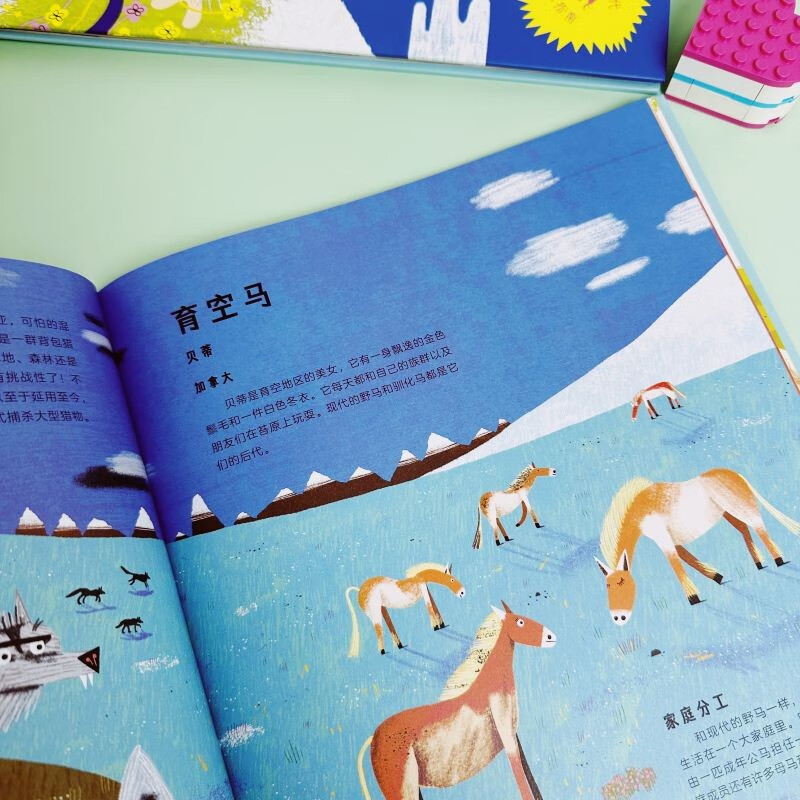 猛犸象梅西的回忆录详情图