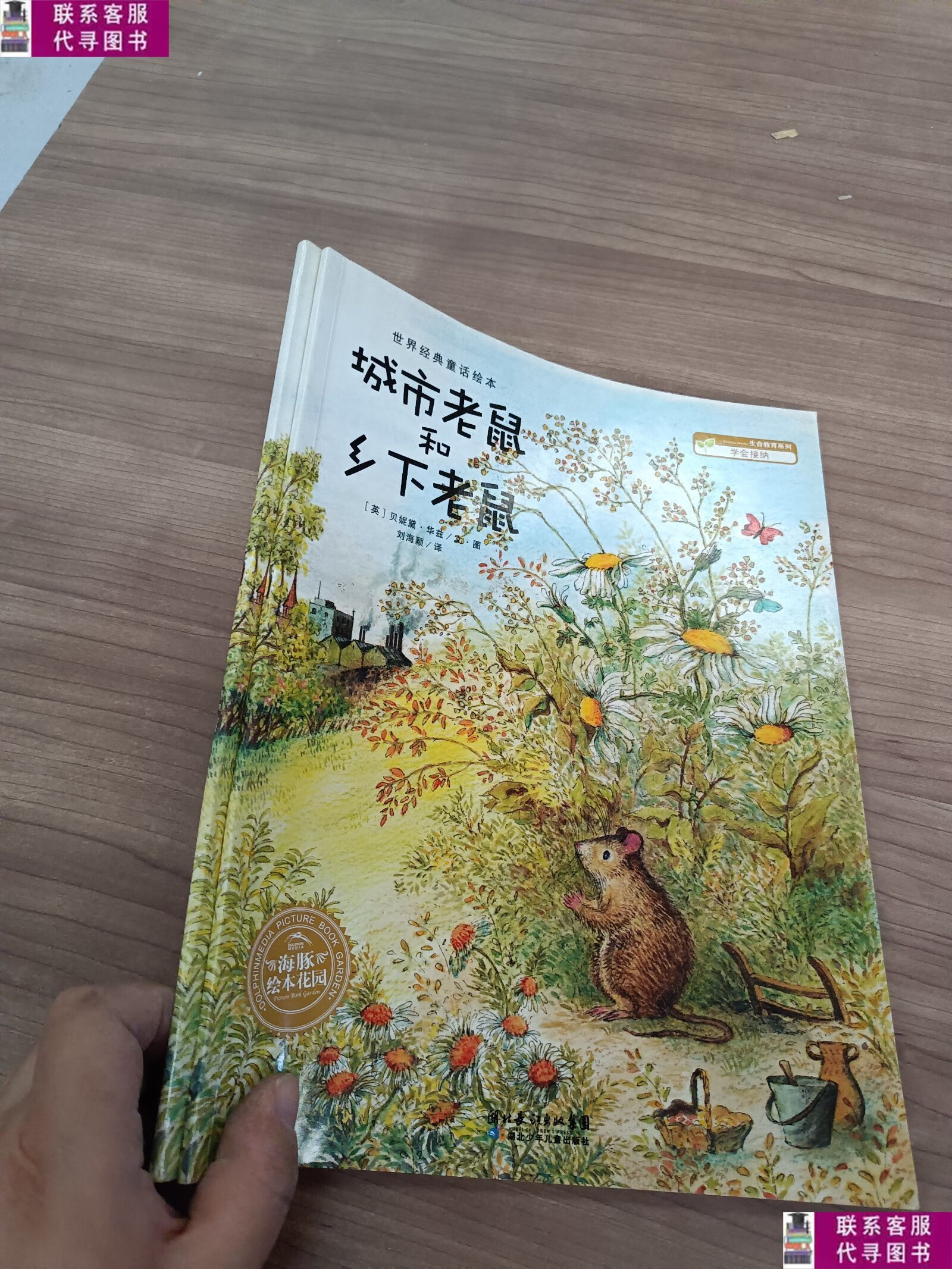 【二手9成新】城市老鼠和乡下老鼠 /贝妮黛·华兹文,刘海颖 湖北