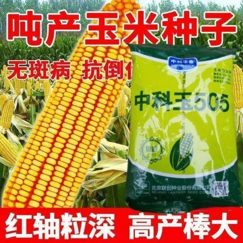 中科玉505【一袋/4200粒】新客价