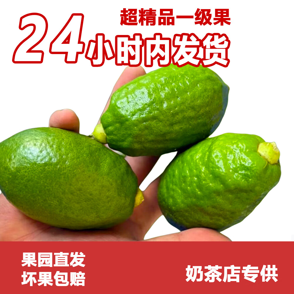 正宗广东香水柠檬爆香新鲜无籽精品一级果 18斤（净重一级果奶茶店口味）