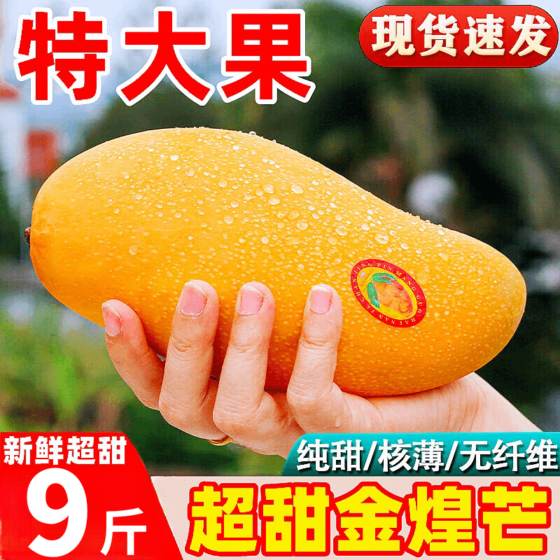 寻良万亩海南三亚金煌芒果生鲜水果当季现摘热带新鲜水仙大芒果甜心芒整箱 精选5斤装【划算】 大果丨单果200-300g