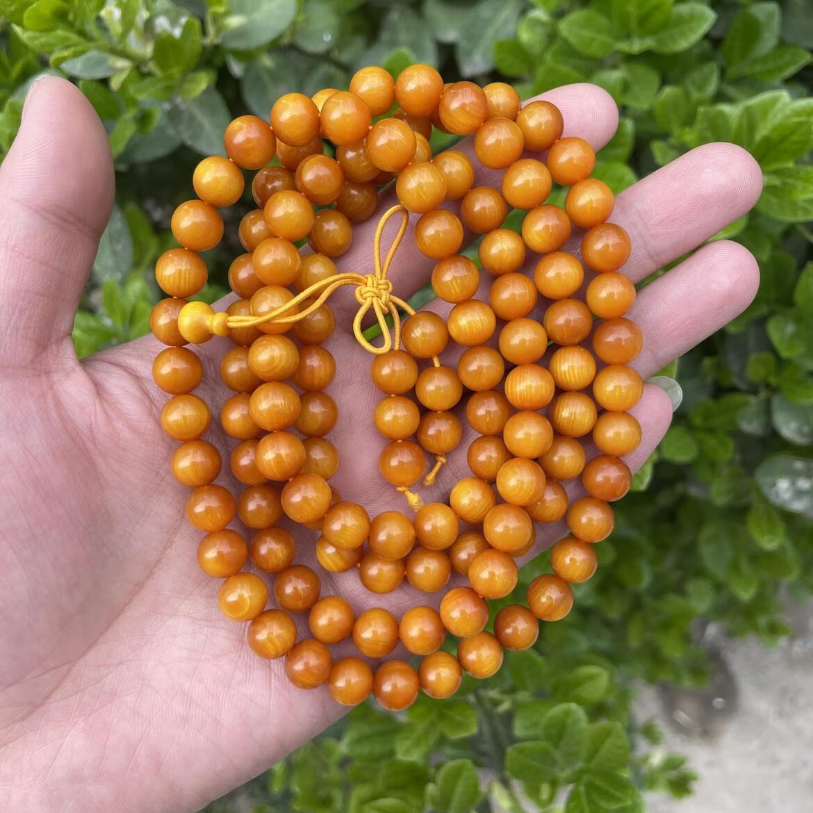 牧思(musi)血龙木全透光顺纹手串东北沉香松明子男女款佛珠手链天然