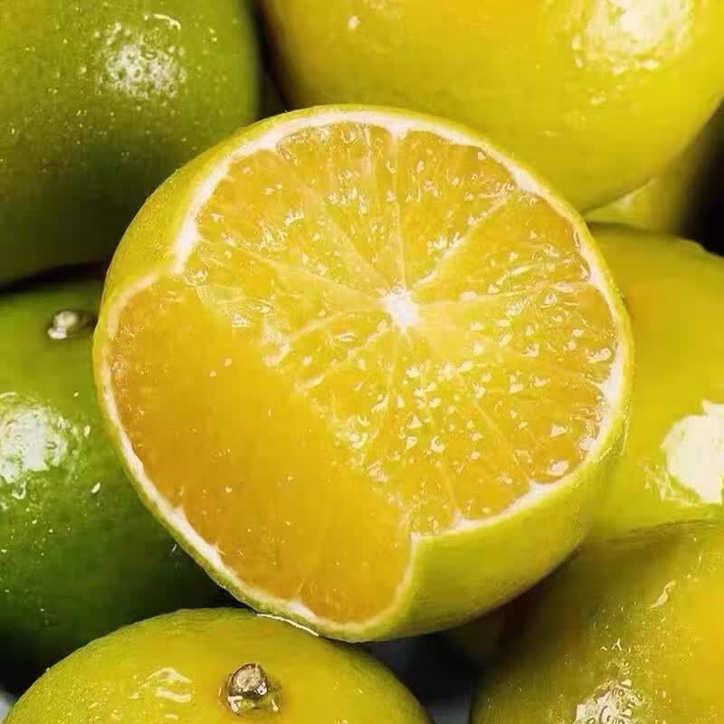 沣御园 广西皇帝柑贡柑   5斤装 果径约50-55mm